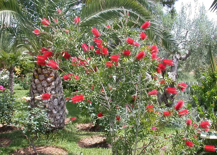 Marina's Daire Nea Moudania