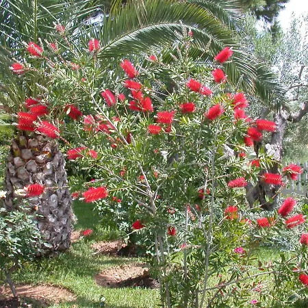 Marina's Διαμέρισμα Νέα Μουδανιά