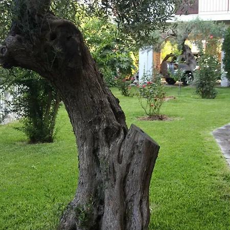Marina's * Nea Moudhania